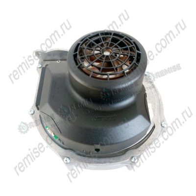 Вентилятор RG148 Viessmann Vitodens WB2B 45-60 кВт.